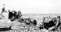 Normandia, Omaha Beach, 5th Engineers Special Brigade jeepek, 1944 Jnius 12. Lastr. sz. (hood num.): 20323205-S, 20?6?23164-S jeepek
