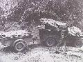 Amerikai sebeslt katonk Ausztrl ment jeepben.