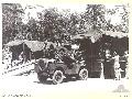 BOUGAINVILLE. 1945-08-30. TROOPS OF 113 BRIGADE WORKSHOP CORPS