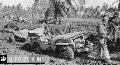 USMC jeepek a srban. Leyle Island, 1944 Oktber 26. David E. Harper kpe, www.hardcorpsmodel