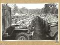  Brisbane, QLD. 1943-11-05. A Shipment of JEEPS, lined up.