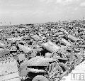 Okinawa,  November 11, 1949