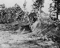 Jeep on maneuvers. Wadesboro, N. Carolina. Bat. D, 44th Div. Anti-tank 2nd Corps. Nov. 1941