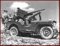 2034613-W Willys slatgrille MB 3rd Infantry