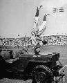 20311325 Willys MB, Baseball clown John Price standing on his head on hood of jeep. US, August 1946