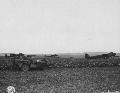 20323612-S Willys MB, Airfield Epinay, France, 2 September 1944
