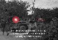 20484042-S Willys MB, 4th Armored Division, France, 1944, July 28