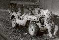 20358327-S Willys MB, 899th Tank Destroyer, ETO