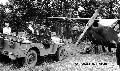 20520126-S Ford GPW, Jayhawk HQ VIIth Corps, Fosses Taravisee-Belgium, 8-11Sep1944