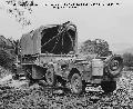 2032614 Willys MB, New Caledonia, 1942