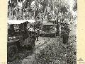 128816 MADANG, NEW GUINEA. 1944-04-26.