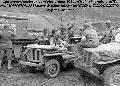 20472172 Willys MB, 3rd Armored division, Stoberg Germany .