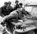 20590670 MB US Army soldiers look upon a wounded Chinese Communist soldier that was brought back from the front on the hood of an Army jeep, Wonju, Korea, February 19, 1951.