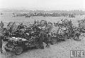 20761129 Ford GPW Korea_27Th Regiment August 08, 1950