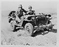 Indio, California. A half-ton jeep rolling over the desert at the desert training center June 1942